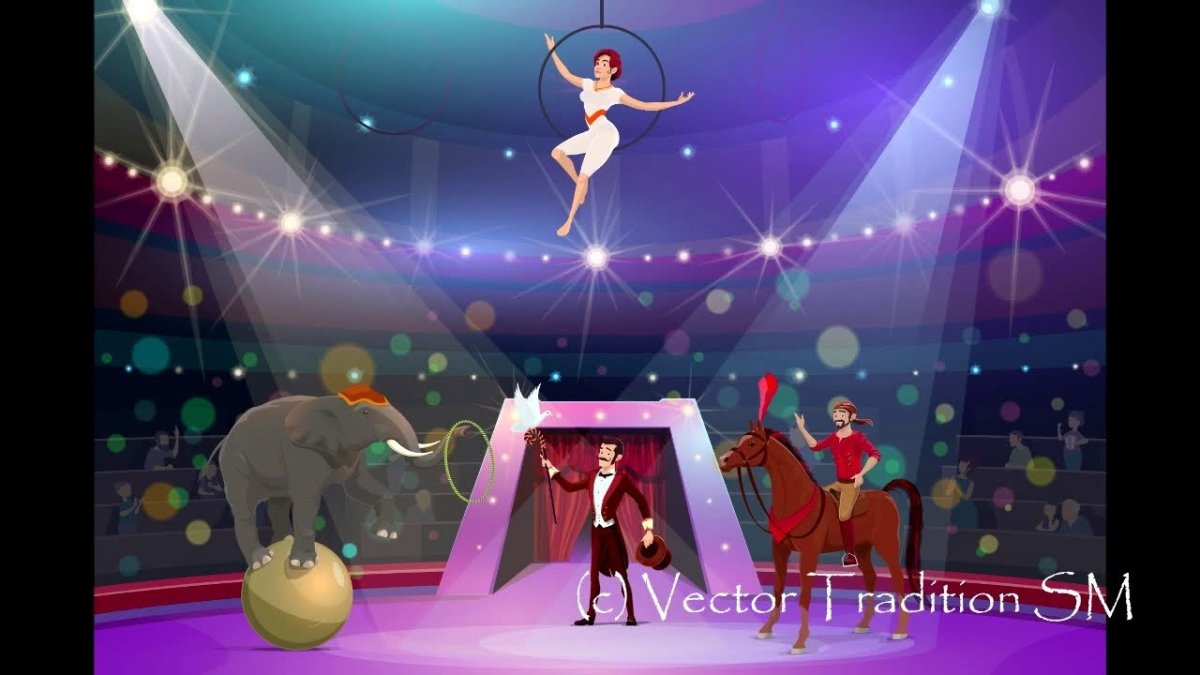 Лев на тумбе в цирке