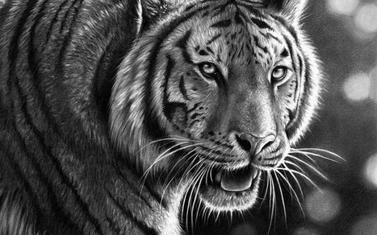 Красивые рисунки