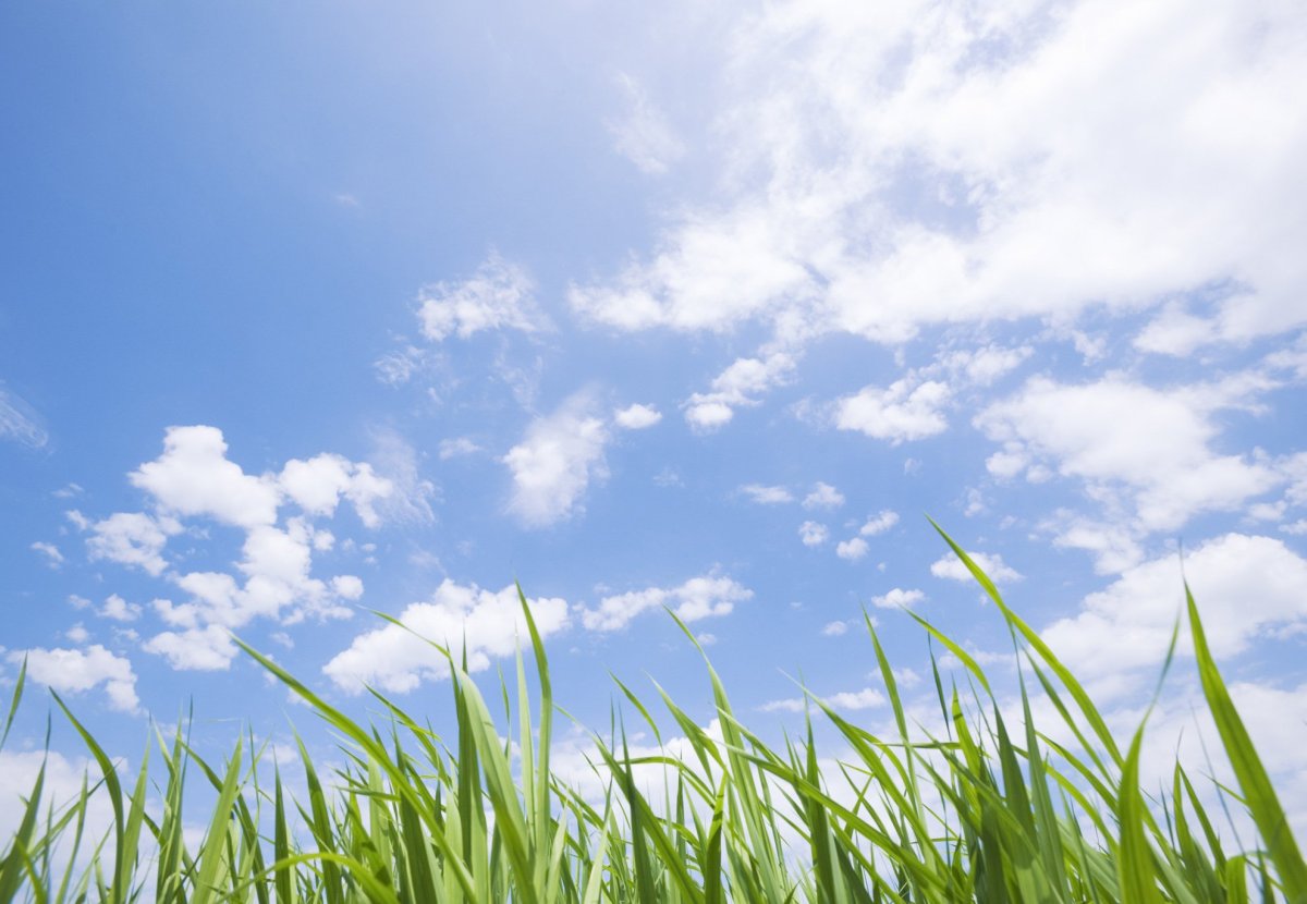 Природа чистый воздух