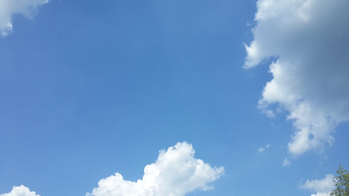 Фон свежий воздух