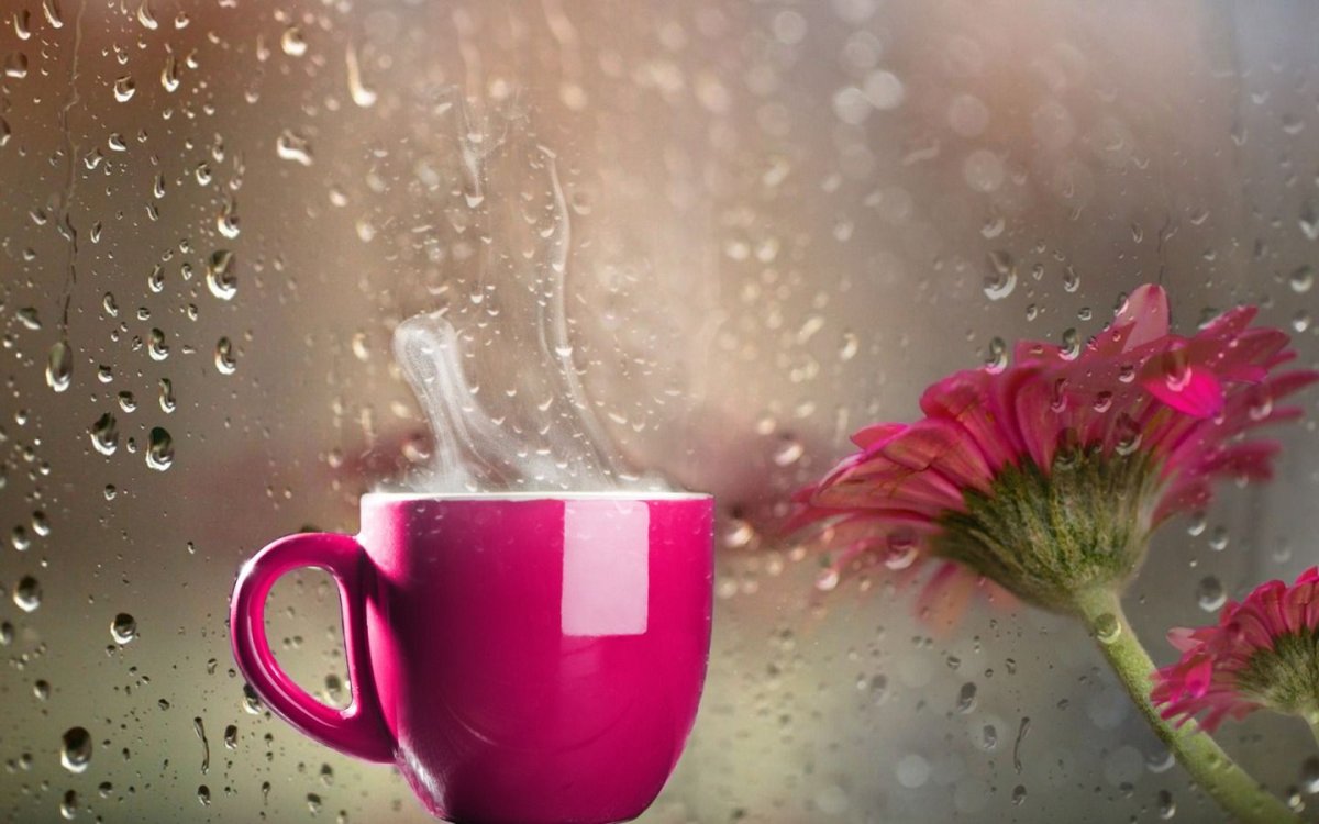 Дождь за окном