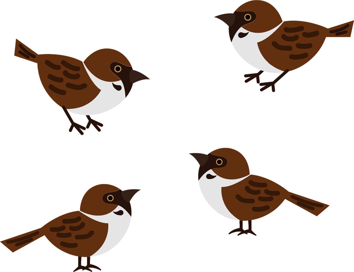 Воробей клипарт на прозрачном фоне