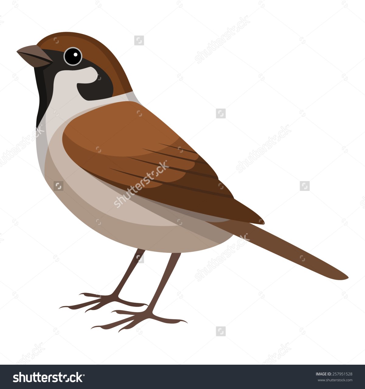 Воробей вектор