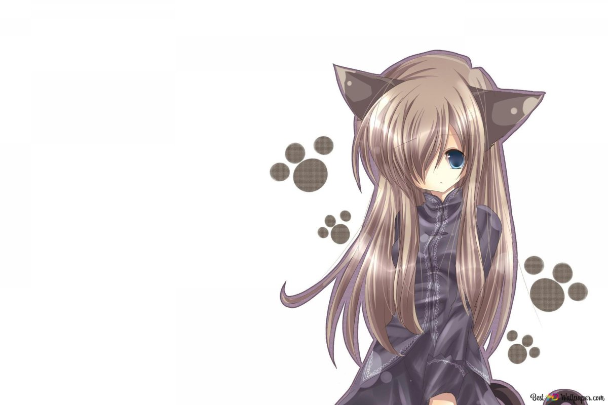 Аниме кошки люди