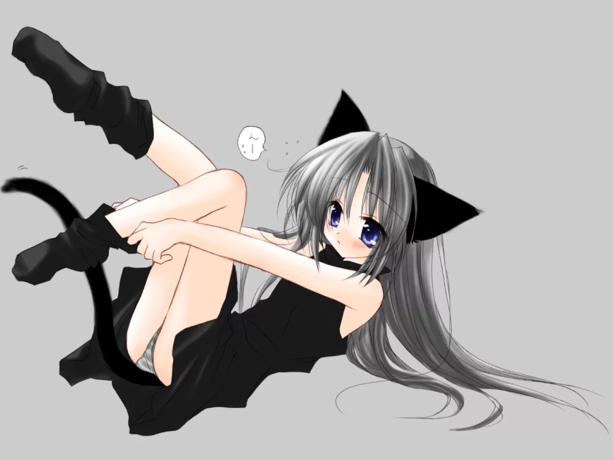 Кошка девочка