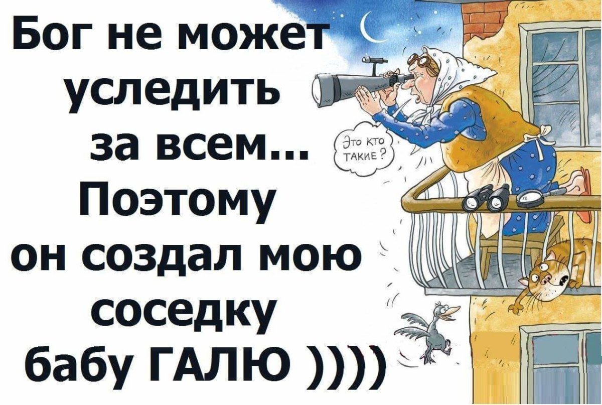 Смешные высказывания про соседей