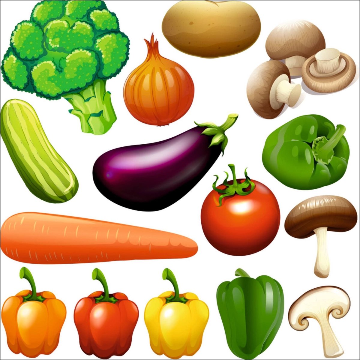 Kinds of Vegetables