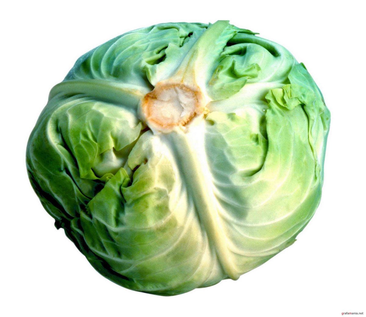 Овощи одиночные