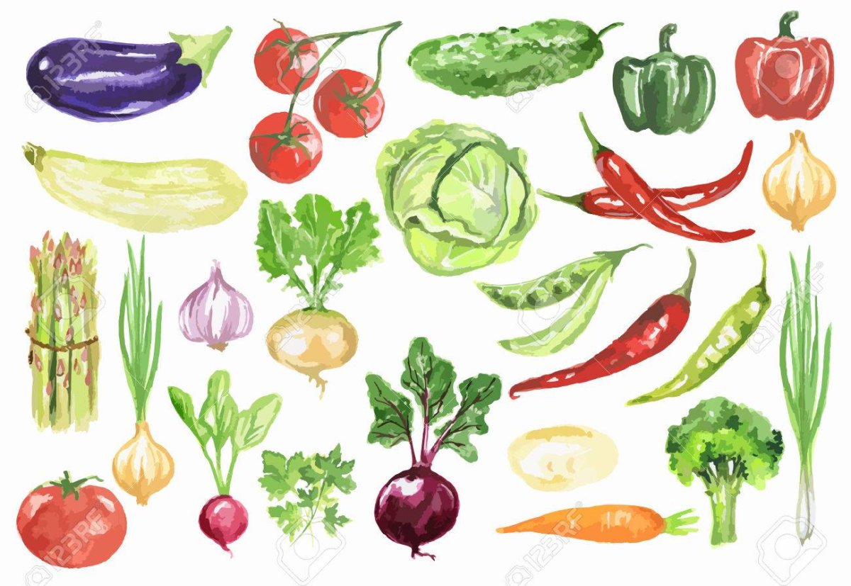Овощи акварель на белом фоне