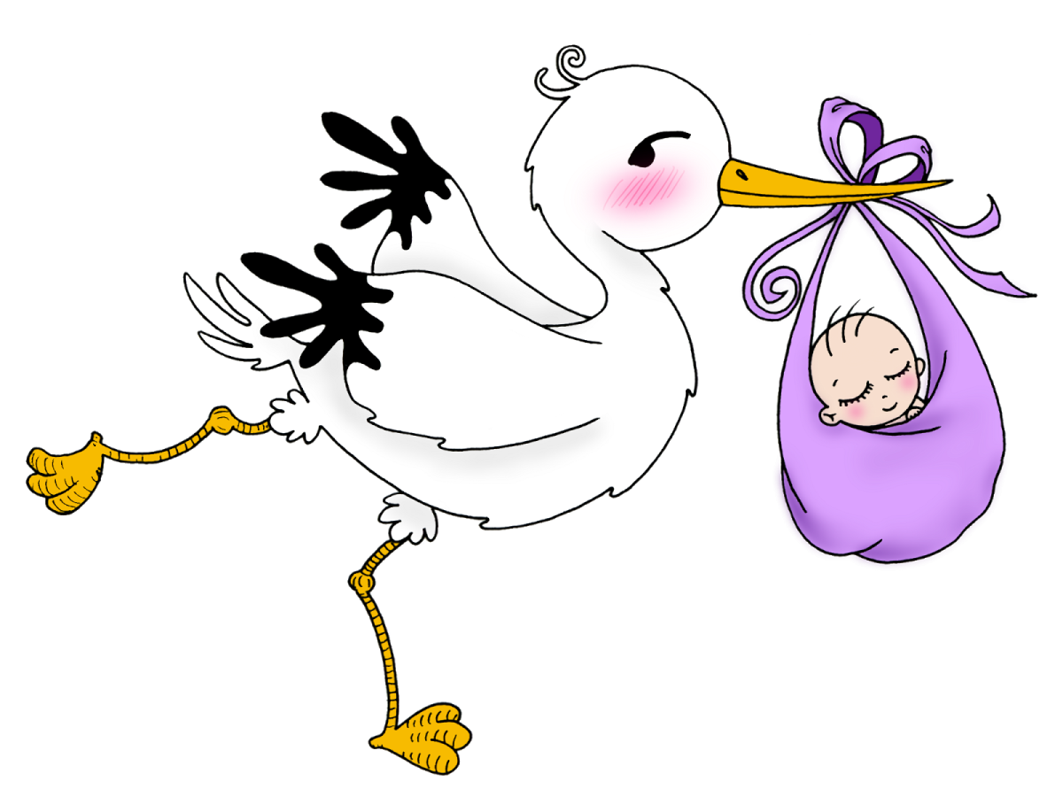 Аист с ребенком