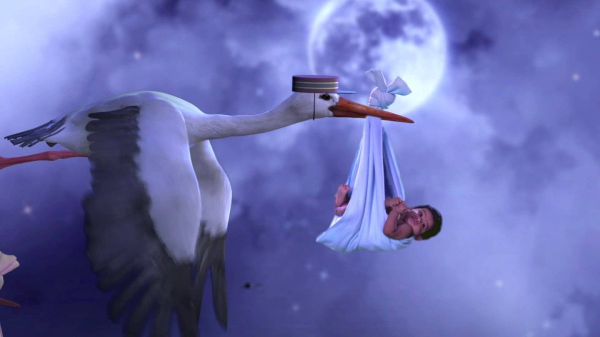 Аист с ребенком