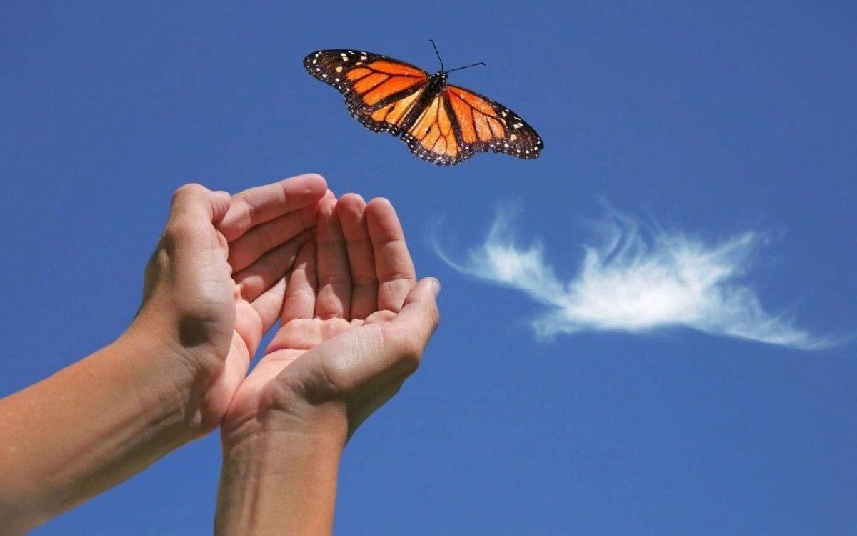 Счастье бабочка на ладони