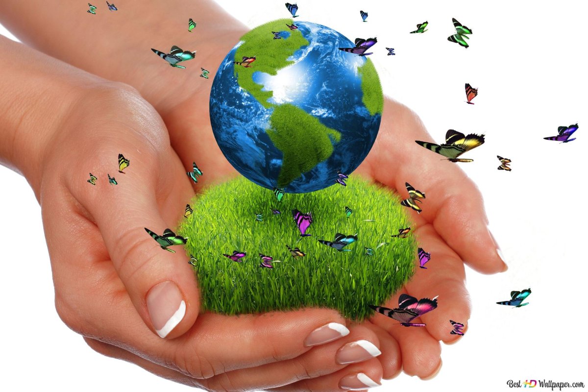 Защита природы