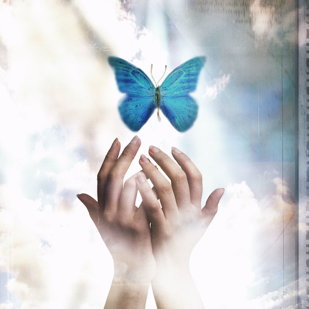 Душа в руках