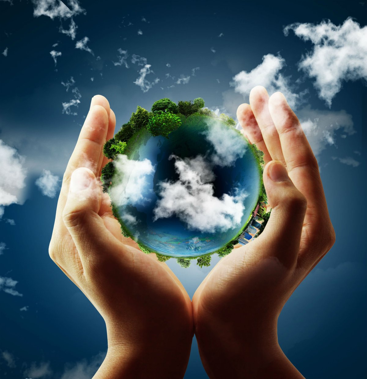 Экология земли