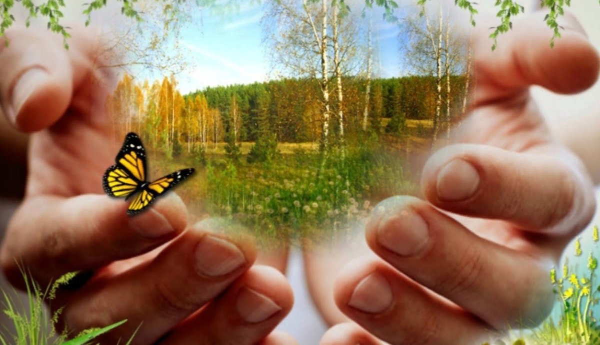 Счастье в ладошках