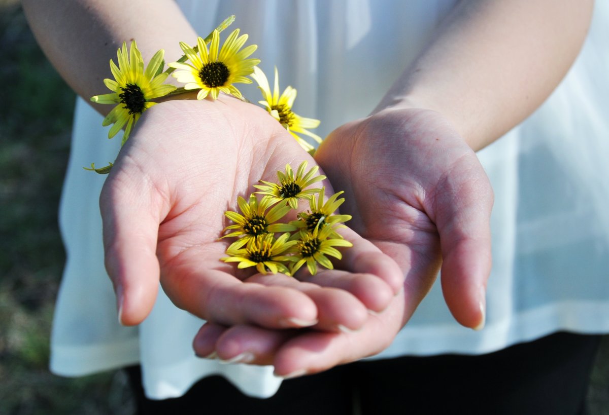 Цветы в ладонях