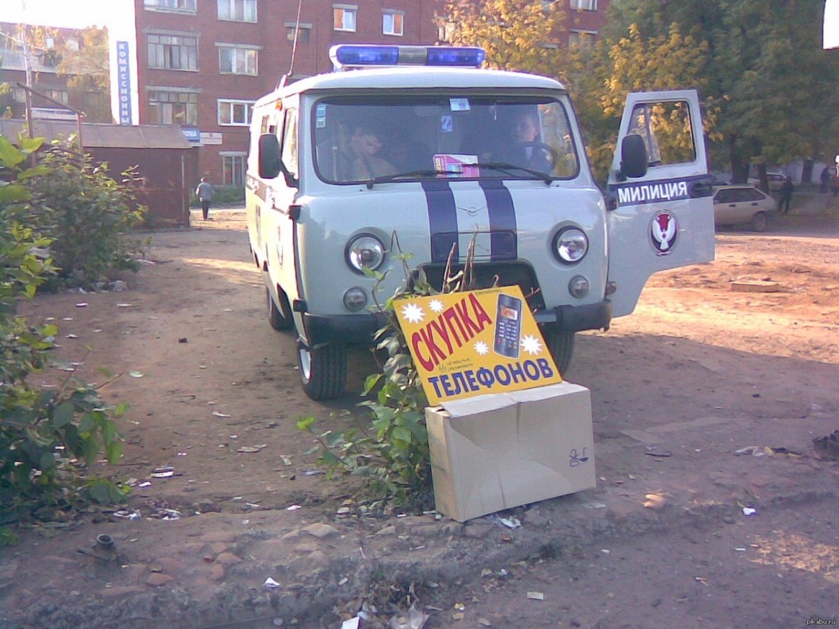 Две обезьяны смеются