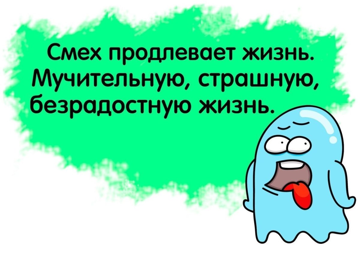 Кот ржет прикол