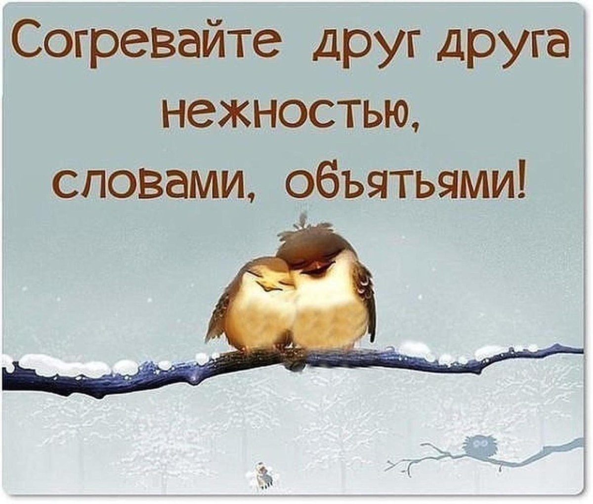 Зимний день согревания