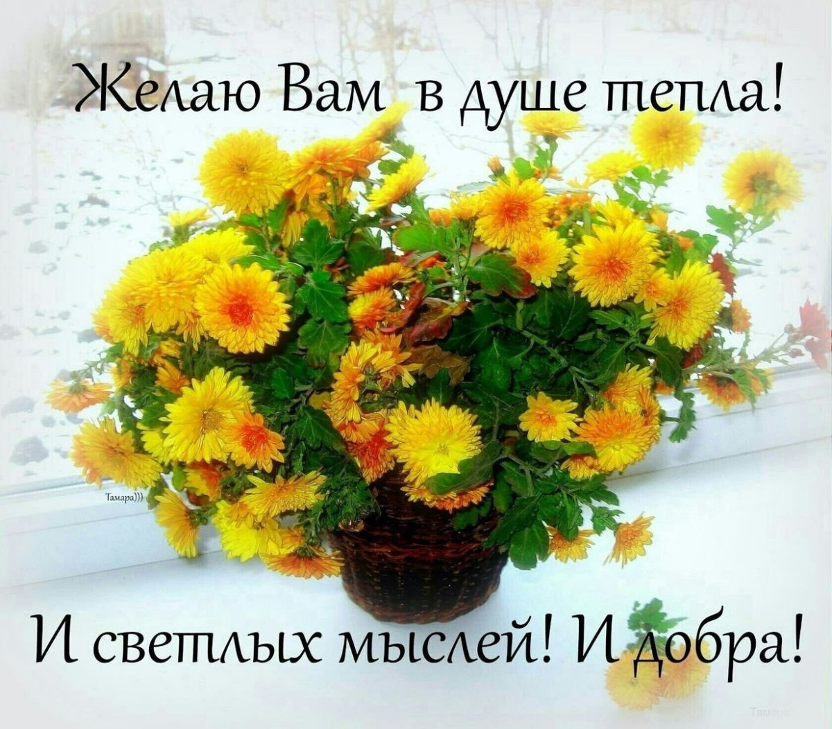 Пожелания добра ми спокойствия