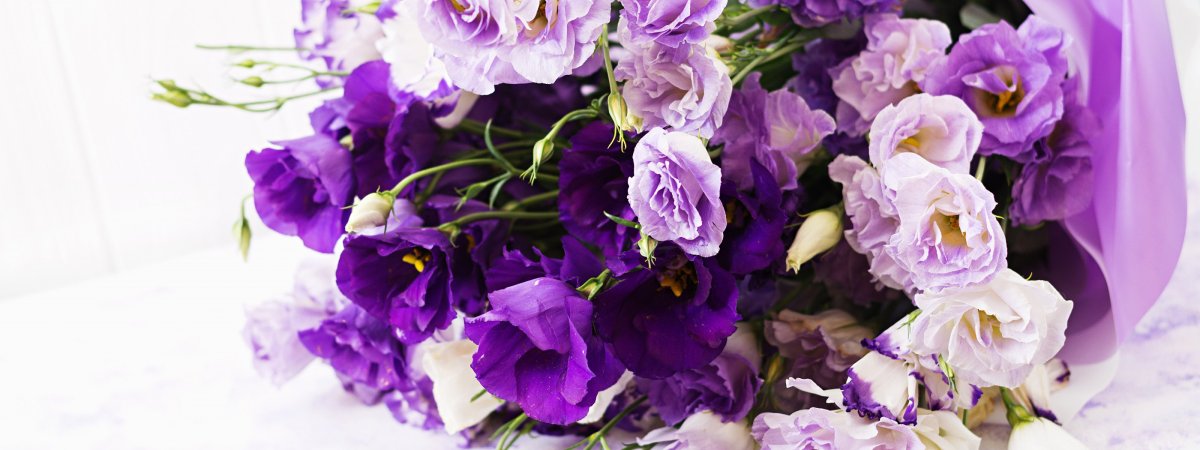 Букет лизиантуса фиолетовый