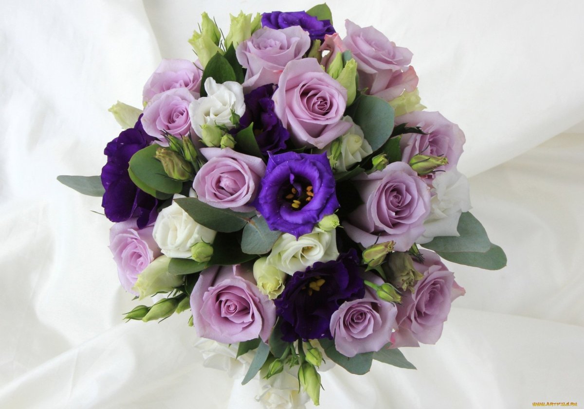 Эустома Рози Лилак