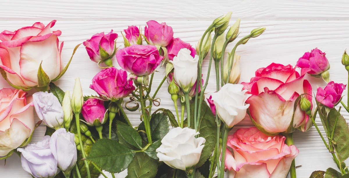 Китайская роза эустома