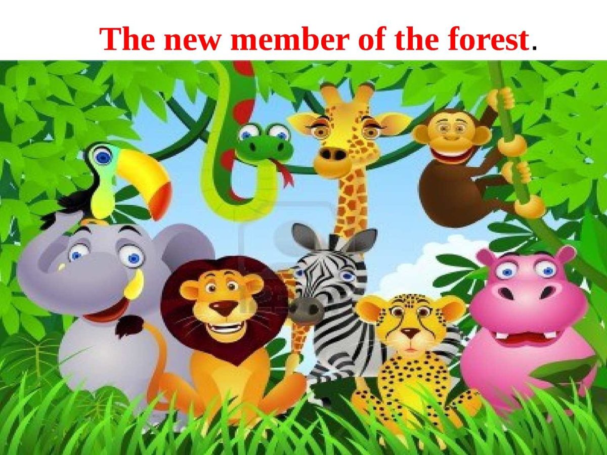 Джунгли надпись