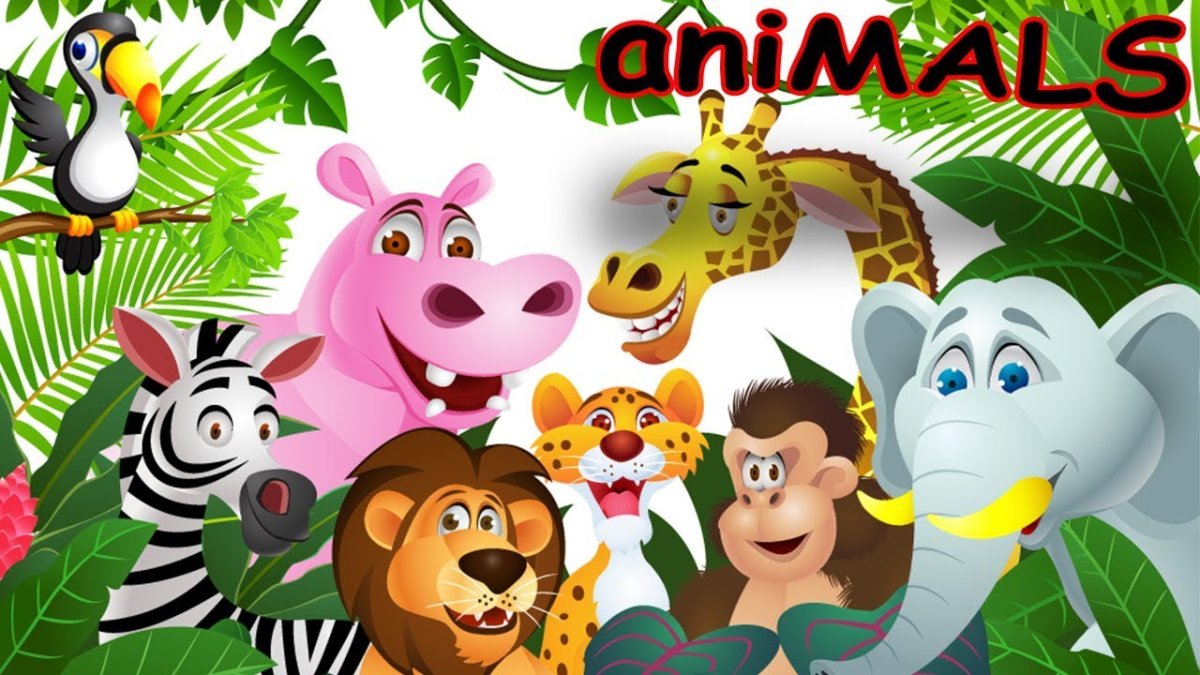 Рамка с животными для детей джунгли