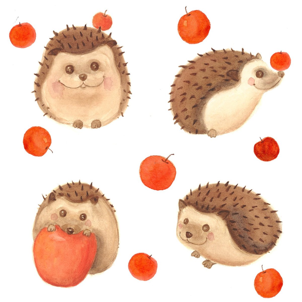 Ежик картинка для детей