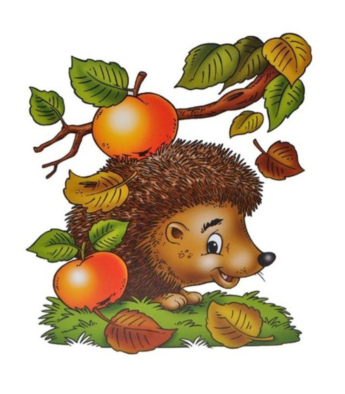 Ежик с яблоками картинки для детей