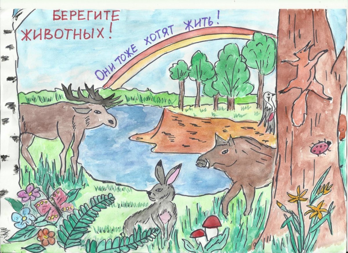 Берегите животных