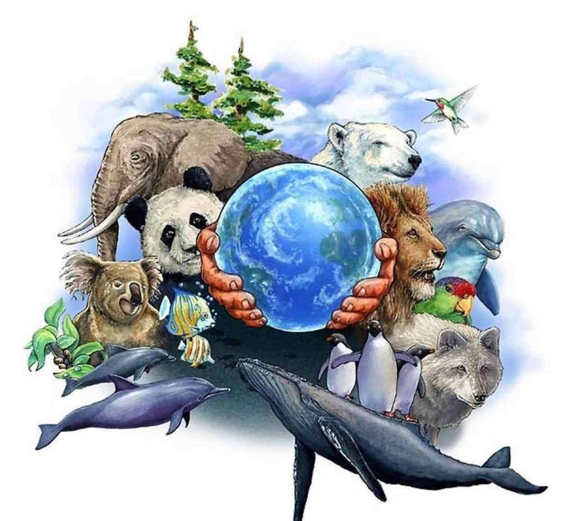 Соседи по планете