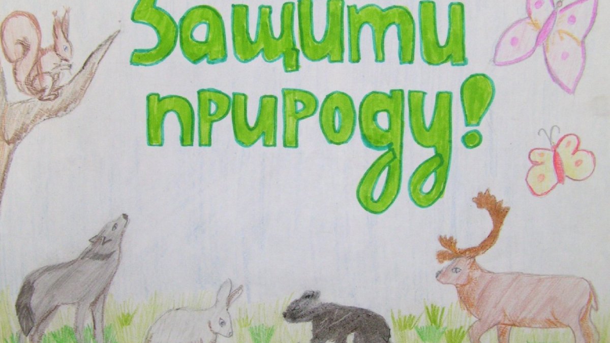 Плакат на тему защита животных