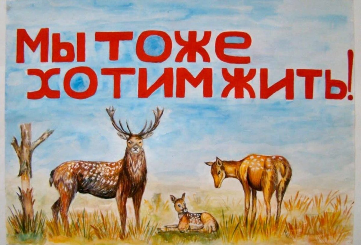 Защитим животных