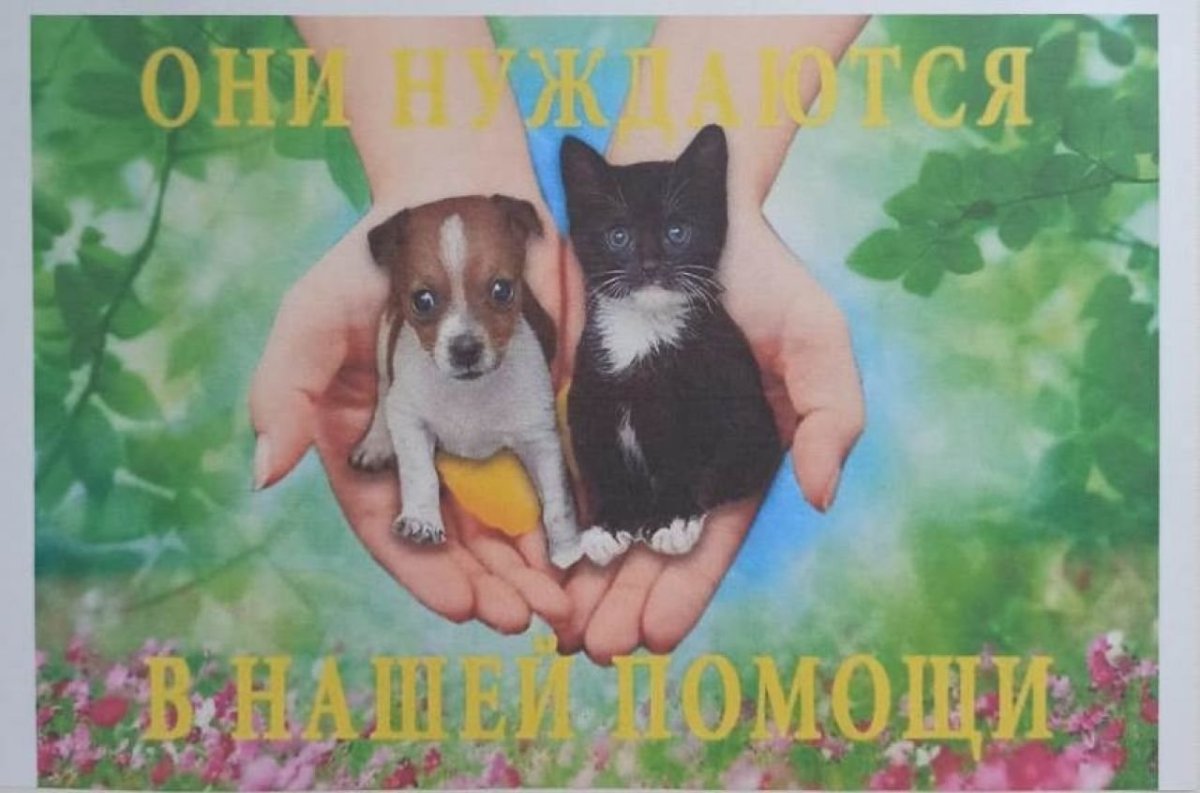 Сохранение биоразнообразия