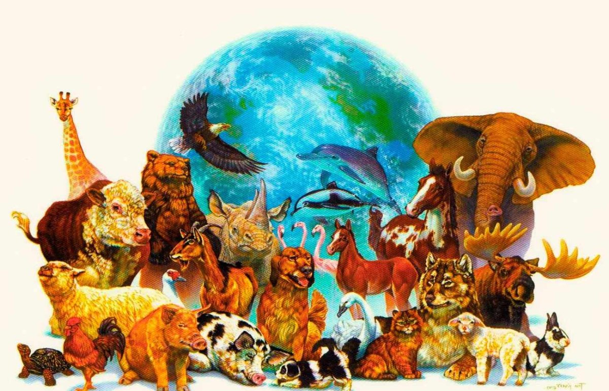 Мир заповедной природы рисунки