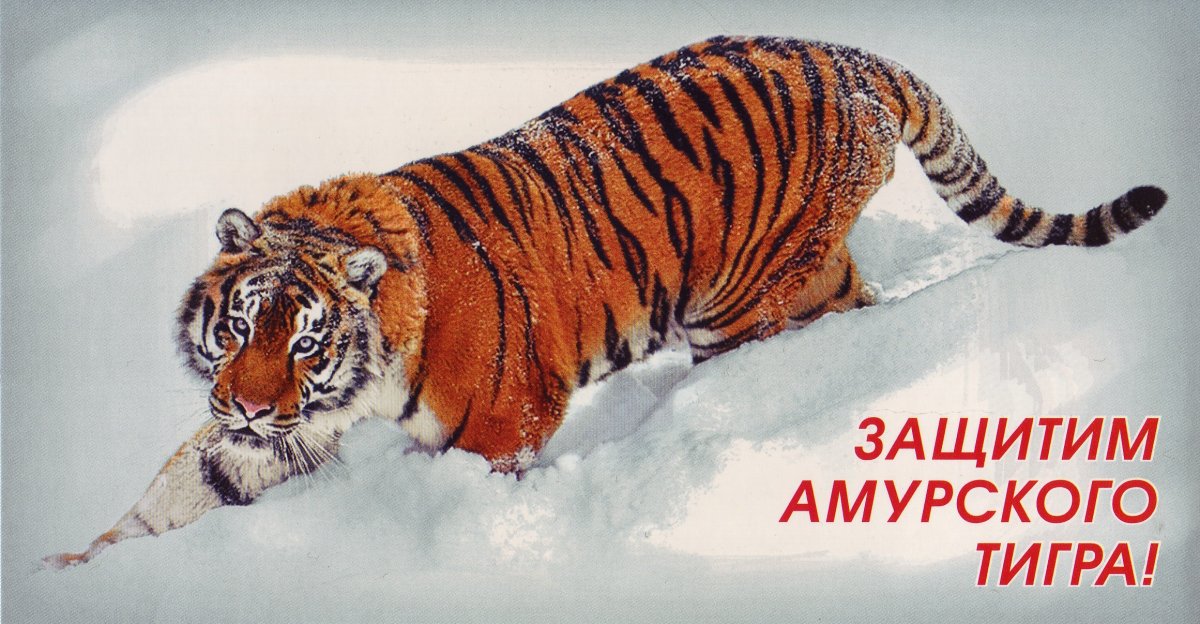 Всемирный день защиты животных