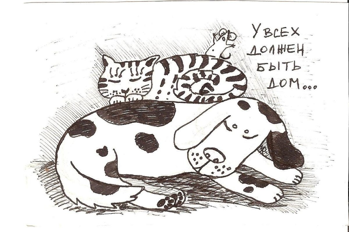 Плакат на тему береги природу