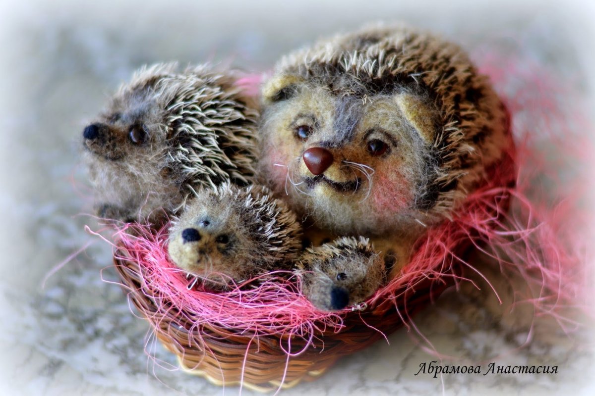 Ежики любовь