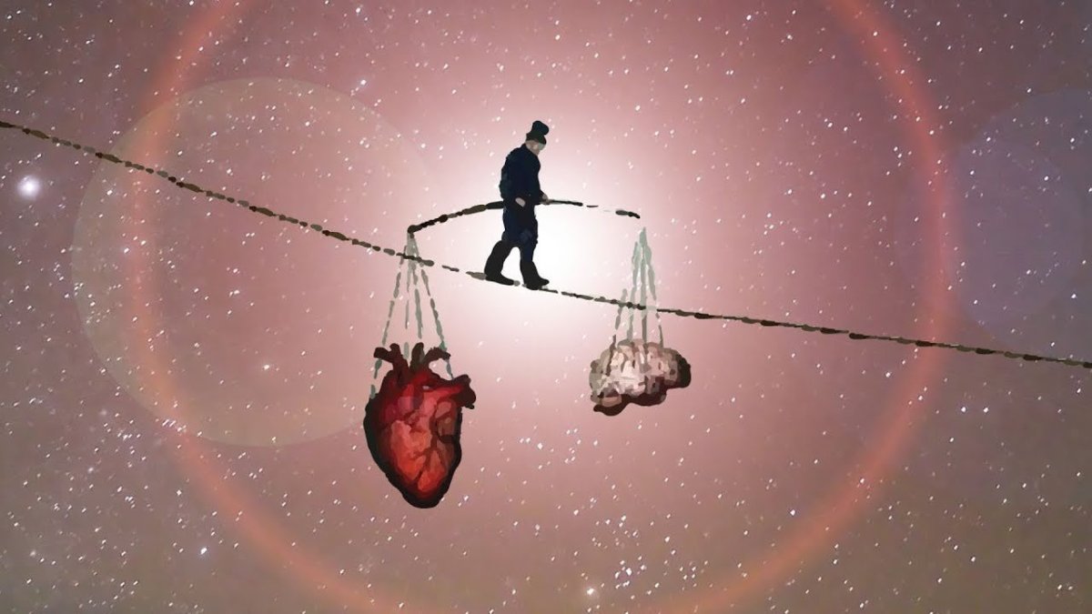 Сердце и разум