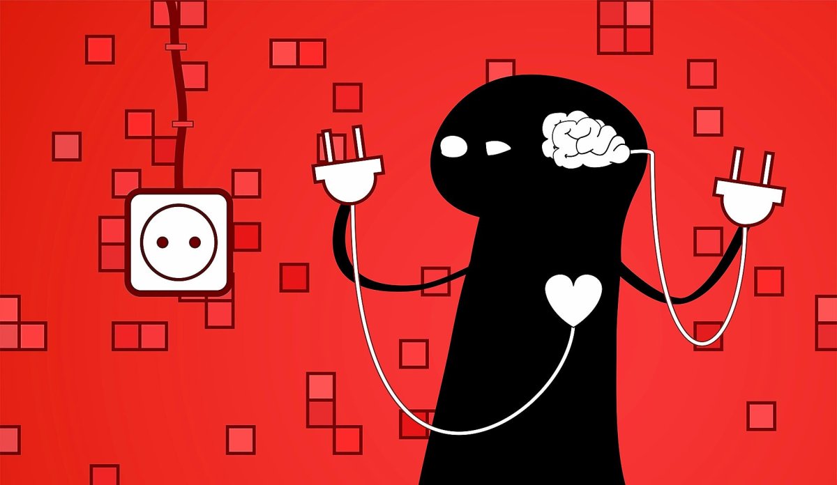 Сердце или разум