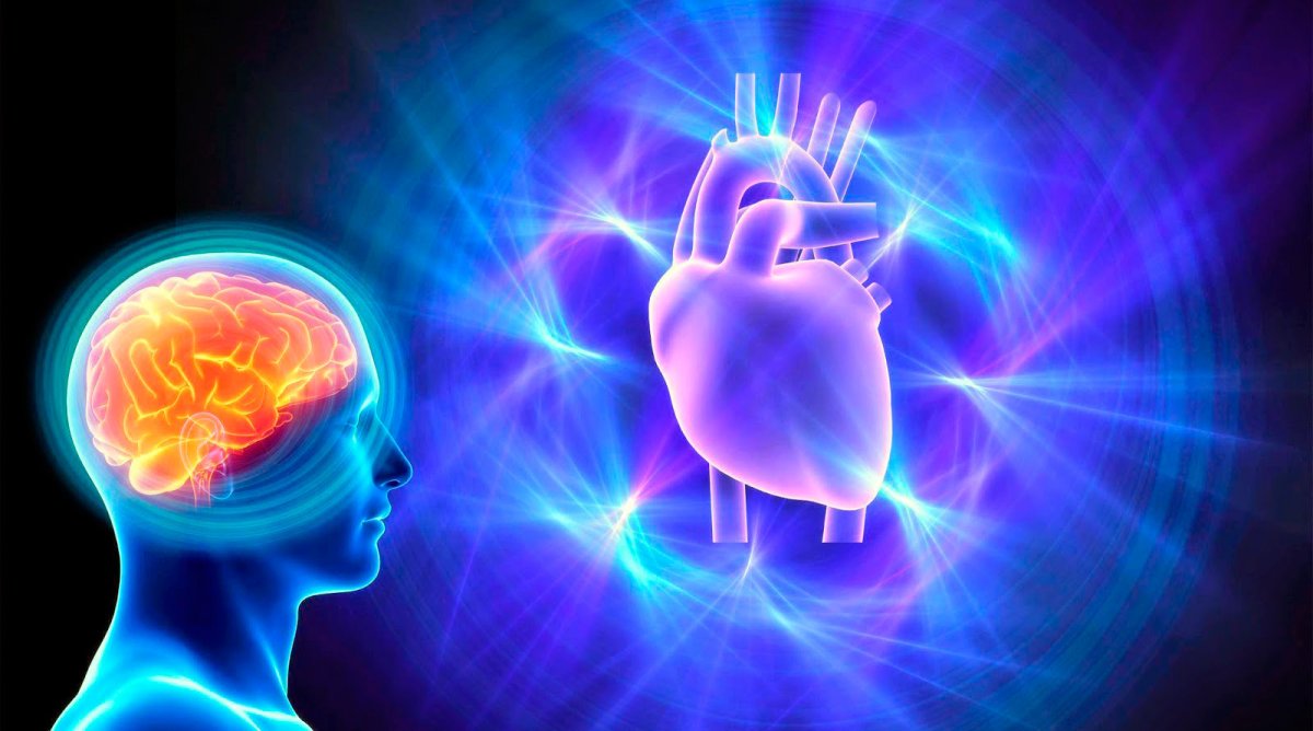 Цитаты про сердце