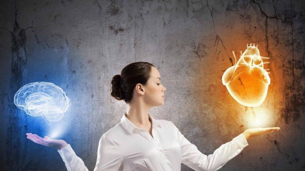 Что любит мозг