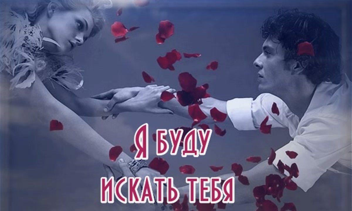 Ум или сердце