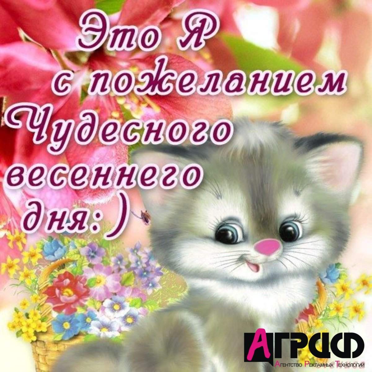 Веселые пожелания с добрым утром