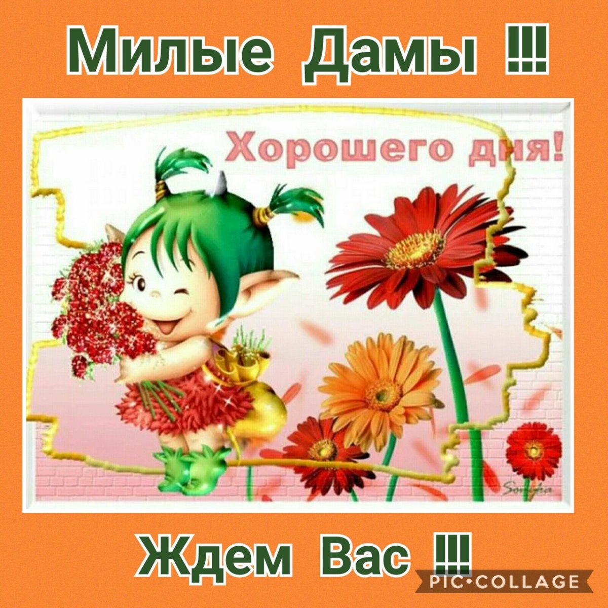 Пожелания радости жизни