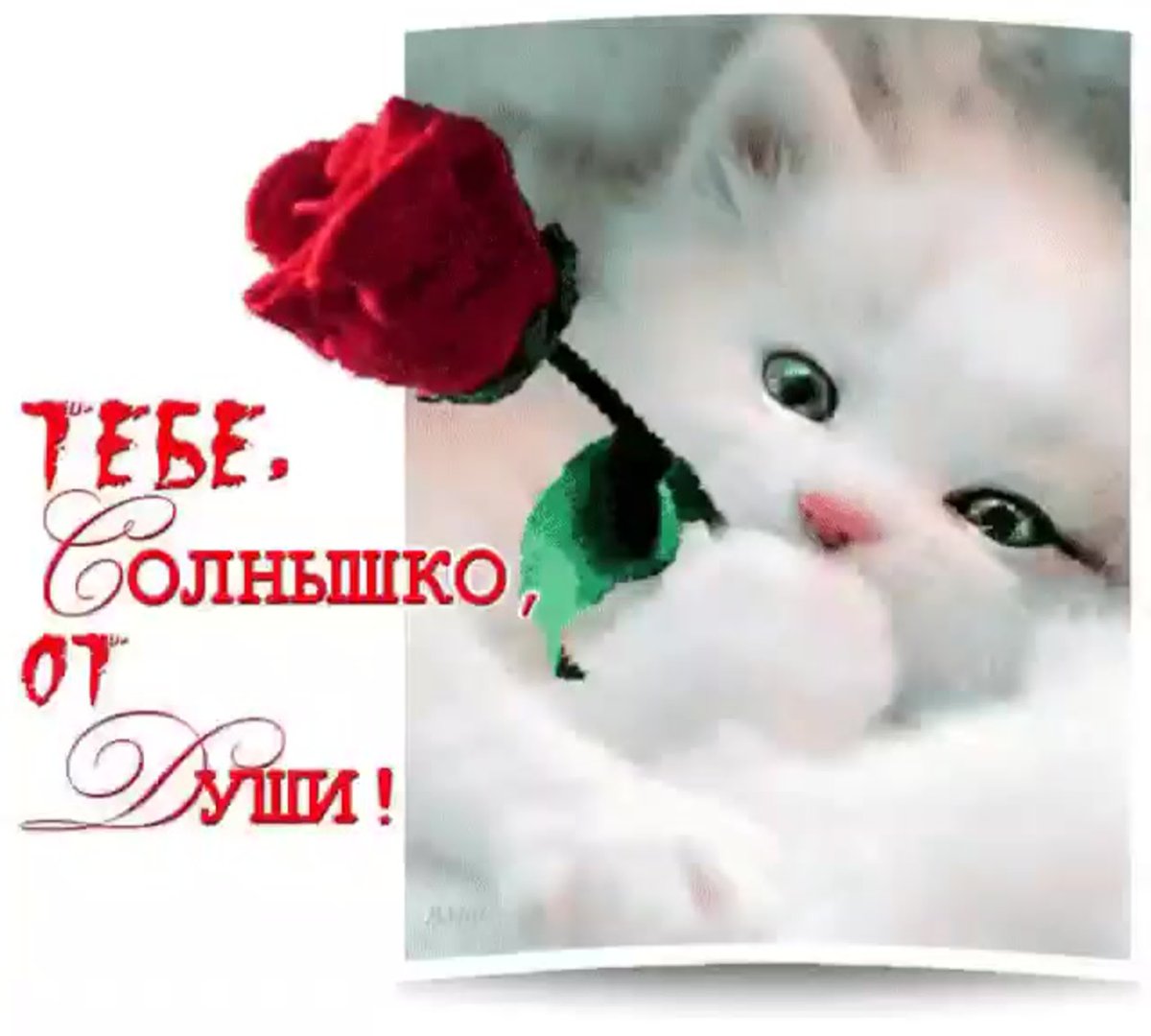 Открытки улыбнись