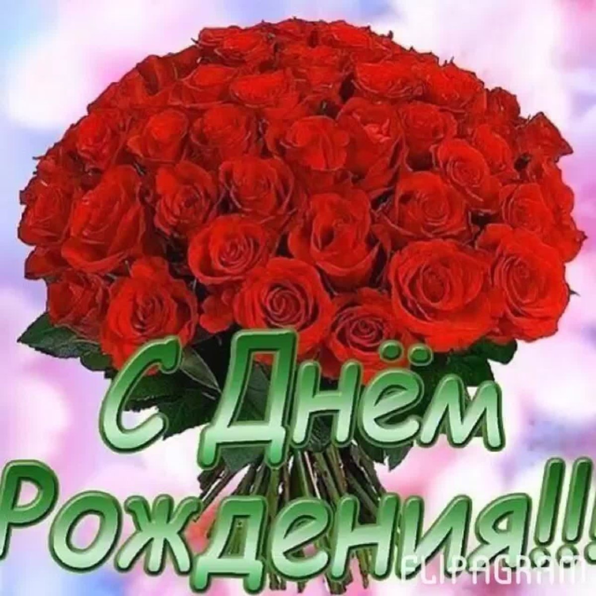 Поздравления с днём рождения Альфия